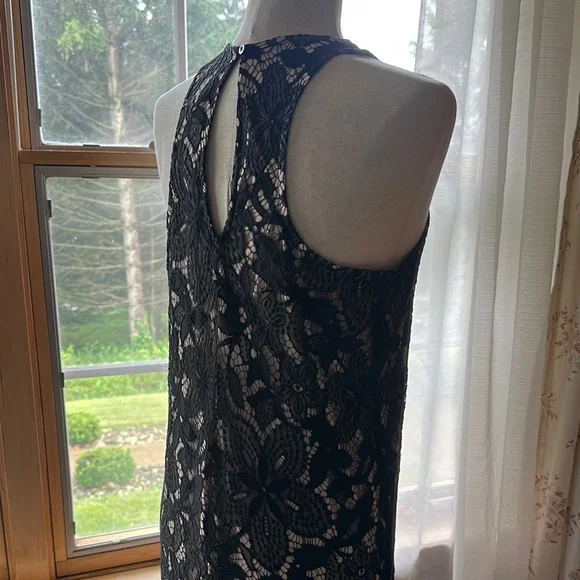 Express- NWT: Elegant Black Lace Dress - Picture 11 of 16